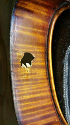 Violin center bout rig with puncture; before repair