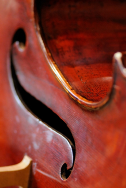 Cello f-hole, purfling and bridge close up