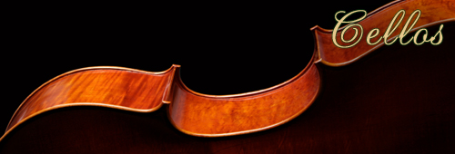 Cellos for sale at Sapp Violin Shop