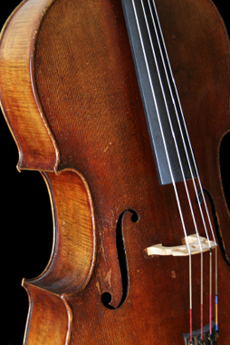 An old cello from a side angle showing most of the body and part of the finger board