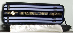 A Gewa violin case
