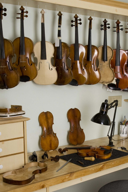 Violins waiting to be repaired and adjusted in Greg Sapp's workshop