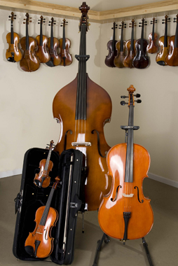 Rental bass, cello, violin and fractional violin with a violin case