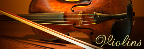 Violins for sale at Sapp Violin Shop