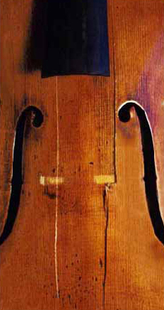 Violin top with cracks under the bridge; before repair